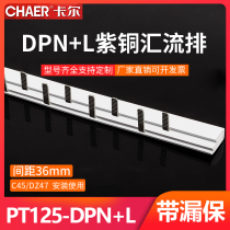 CHAER Carl PT125-DPN L 40A leakage protector air switch 1p copper wiring bus