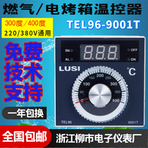 LUSI Zhejiang Liushi Electronic Instrument Factory TEL96-9001T gas electric oven Hongling thermostat