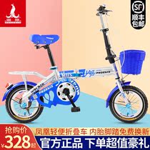 Phoenix brand folding bicycle womens adult 16-inch portable ultra-light speed shock absorption male students to work bicycle