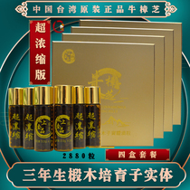 Taisang Gold Taiwanese Super Concentrated Niu Zhangzhi Dripping Pills Original basswood fruiting body 2880