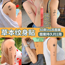 60 herbal tattoo stickers Semi-permanent waterproof long-lasting simulation dark department men and women ins wind juice tattoo stickers