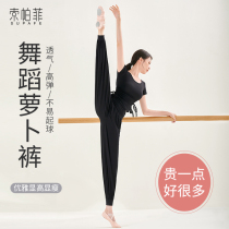 Black loose dance radish pants exercise clothes female body lantern pants Latin classical dance yoga dance clothing