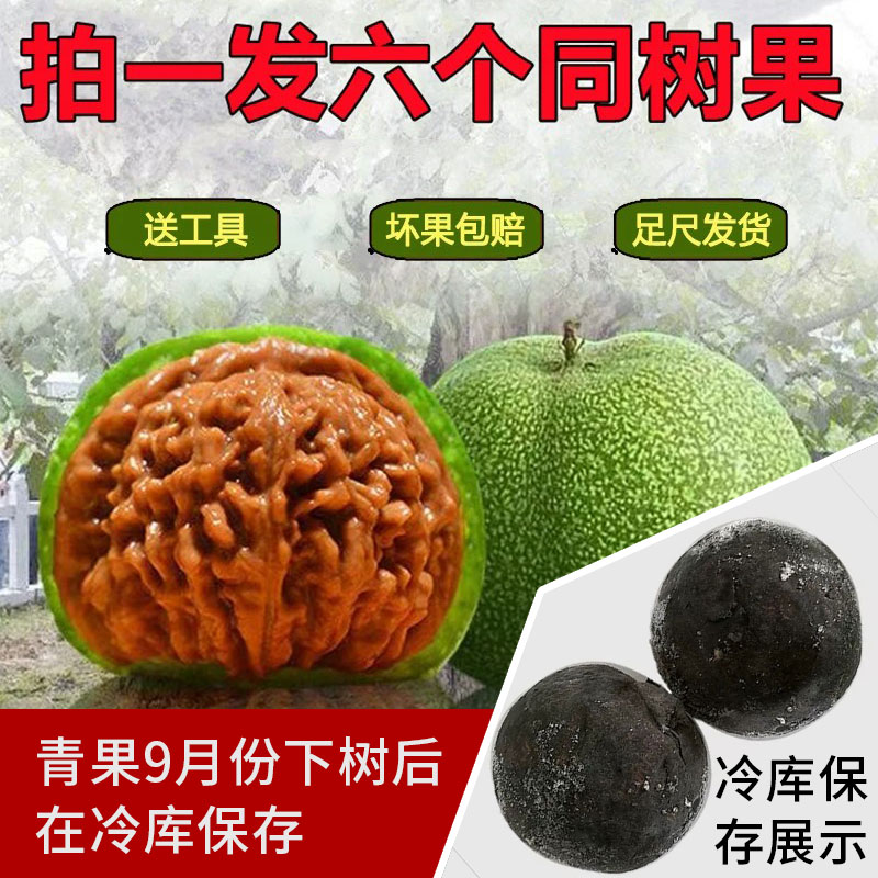 三棱核桃 三棱文玩核桃-三棱文玩核桃促销价格、三棱文玩核桃品牌- 淘宝