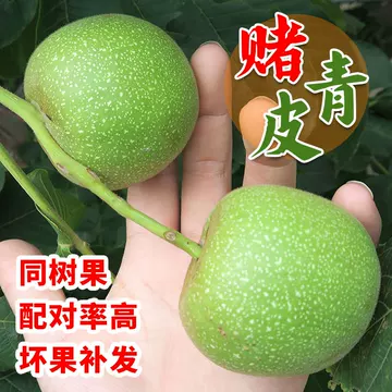 四座楼文玩核桃-四座楼文玩核桃促销价格、四座楼文玩核桃品牌- 淘宝