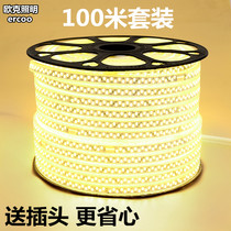 (100 meters) LED light with super bright 5050 light with 220V ceiling waterproof 3014 2835 bright led