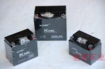 Kart accessories ATV battery Apollo Little High Race Motorcycle 12V4 5 9A dry battery promotion