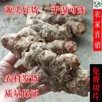 Wild Scaulas fresh and now dug farmhouse soil Tuckahoe dried tablets Chinese herbal medicine Guangdong soup material Gelporia powder tablets