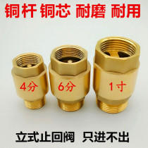 All copper inner and outer wire check valve 4 minutes 6 minutes 1 inch outer wire flow inner wire check valve full copper rod copper spool DN15