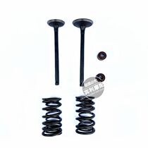 Wang Yun Beach Kart GY6 150-200-250CC Engine Cylinder Head Valve Seal Spring