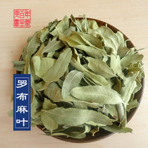 Apocynum leaf 500g g Chinese herbal medicine tea authentic Xinjiang Special tender Bud Apocynum tea