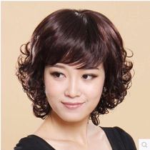 Middle-aged and elderly wig sent to mother Middle-aged lady wig short curly hair natural fluffy realistic simulation with dome scalp