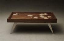Engraved Galapagos Galapagos Solid Wood Coffee Table Black Walnut Nordic Modern Simple Italy