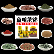 Fish Food small fish feed Spirulina tropical fish guppies fish fish carp fish color color grain juvenile fish patch