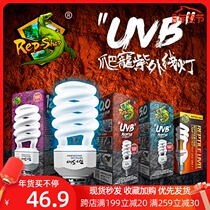 Reptile turtle UVB calcium back light energy saving tortoise feeding box lizard crawling pet sun tube 10 0 5 0