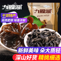 Jiulu Lake Black fungus Northeast mountain rare dry goods meat fat tender fungus North and South Dry Goods 250g