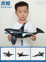 Killer whale whale whale shark tiger shark simulation toy model marine animal super large soft glue children Boy