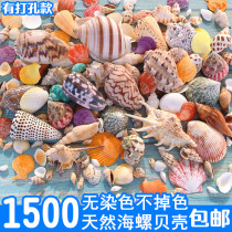 Natural shell conch sea star handmade diy perforated fish tank landscaping aquarium decorative scallop fish hermit crab shell