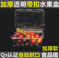 Disposable thick transparent plastic fruit box cherries strawberry cherry cake with lid packaging box blueberry box