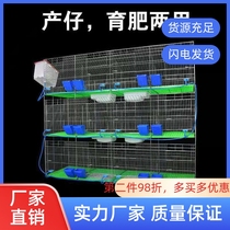 Sink-type production box primary-secondary cage rabbit cage plus coarse 12 bits 24 bits goods rabbit cage special rabbit house breeding cage