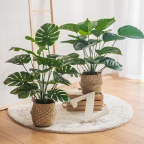 Nordic simulation green plant small potted monstera fake tree landscape basin living room decoration floor-to-ceiling plastic flower