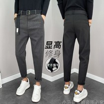Slim trousers mens straight casual pants autumn and winter trend mens ankle-length pants business thickened woolen suit pants