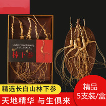 Changbai Mountain Wild Ginseng Ginseng Northeast Forest Ginseng Ginseng Old Ginseng Spicy Wine Mountain Ginseng Gift Boxed Dry Goods Whole Branches