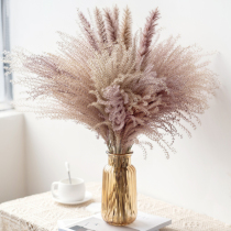 Natural reed dried bouquet whisk real flower ins wind home decoration living room bedroom decoration flower immortalized bouquet