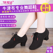  Professional Latin dance shoes Adult womens dance shoes female soft-soled mid-high-heeled teacher body training square dance shoes