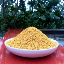 2021 edible rape bee pollen farmers self-produced unbroken wall Sichuan vegetable pollen prostate male 500g