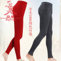 Phoenix pure wool pants men and women 100% pure wool trousers warm pants thickened mens line pants ladies underpants anti-cold