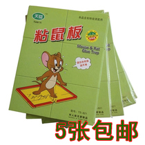 High-end powerful big mouse paste mouse board paste mouse glue stick mouse board rodent trap 5 pieces