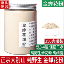Dabie Mountain wild golden cicada flower Cordyceps powder 2021 New Chinese herbal medicine containing cicada flower spore powder 250g