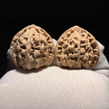 文玩核桃 三角白獅子 文玩核桃界的白狮子：一物一图三角闷尖狮子头手捻精品，收藏级艺术品