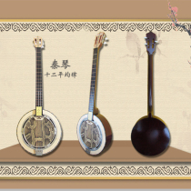Wave guitar semitone Twelve-even garden-shaped three-string Qinqin instrument playing three-string python skin Qinqin new