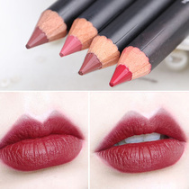 Lip Pen Lipstick Lip Pen Women Waterproof Long-lasting Brand Nude Color Do Not Dip Cup No Decolation Dip Color Matte Europe and America
