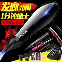 Hair salon electric hair dryer high power 5000 negative ion household wind blowing tube silent mute comb pet hair care