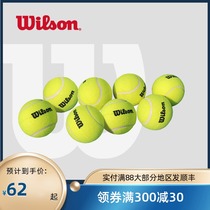 Wilson Wilson Competition Tennis Wilson Beginner Training Bulk Professional Practice Tennis