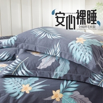 Mingcheng Star Home Textile Pillowcase Cotton Scrub Pair Couple Padded Cotton Pillow Case Single Pillow Cover Winter