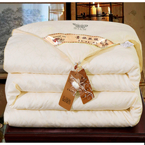 Spring-autumn air conditioning quilted by silk floss quilt by winter quilted quilt core quilt 1 5m1 8x2x2 2x2 3x2 4 m 3x2