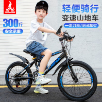 Phoenix bicycles for young children-7-8-9-10-12-15 age zhong da tong boys and girls transmission 20 inch student bike