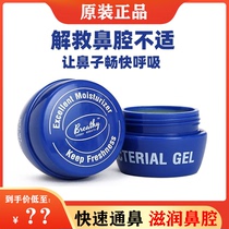 US imported Breathy Brecht nasal cream Cangle Eucalyptus antibacterial cream Essential oil nasal cream
