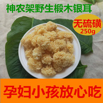 Shennongjia basswood white fungus dry goods super wild pregnant woman out glutinous ear sulfur-free white fungus 250g bulk