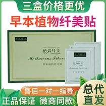 Yisen slime patch herb topical hot application plant fiber show patch micro-business fiber beauty fruit powder jelly nest stick kidney patch