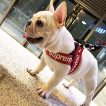 sup collar pet tide brand dog leash chest strap dog leash method fight bear schnari teddy small and medium dog