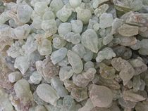 Supercritical CO2 Oman Grand royal Green frankincense essential oil royal hojari 2021 2ml