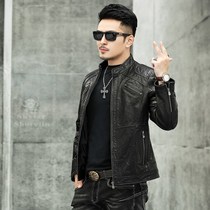 Haining leather leather jacket mens head layer calfskin wax leather autumn short leather jacket stand collar locomotive slim jacket