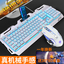 Mechanical hand feel keyboard and mouse set wired office home game eating chicken computer desktop laptop keyboard mouse