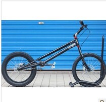 ZHI-TEAM car team version climbing bicycle 20 inch car small climbing front and rear disc brake vehicle bicycle ECHO