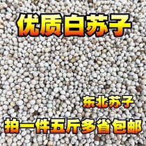 White Su seed bird food bird feed white sow seed parrot grain Canary hibiscus bird bird food yellow bird food 5kg