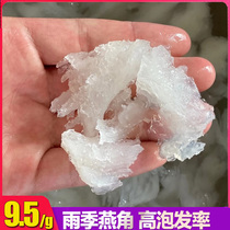 Yanjiao 100g Swallows Nest Flagship Store Official Pregnant Woman Nourishing Pint Swallow Horn Broken Dry Swallow Nest Small Swallows Swallow Nest